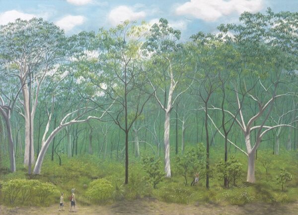 Scribbly gum woodland, south east Queensland - Print