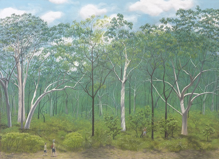 Portrait of an endangered scribbly gum woodland