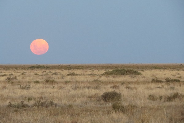 Rising moon cooked orange by the heat (it was still 38 degrees C when this photo was taken).
