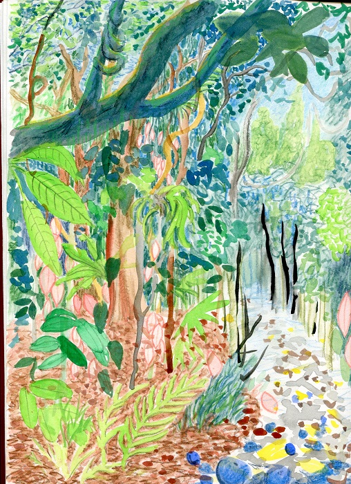 Rainforest at Iluka