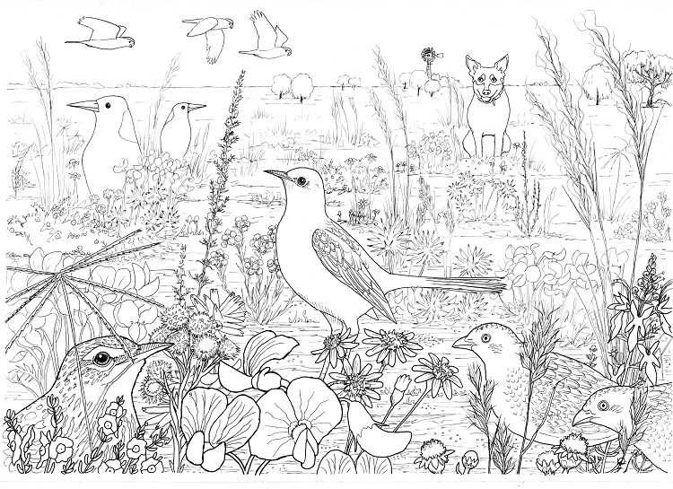 How to draw a grassland Part One Paperbark Writer