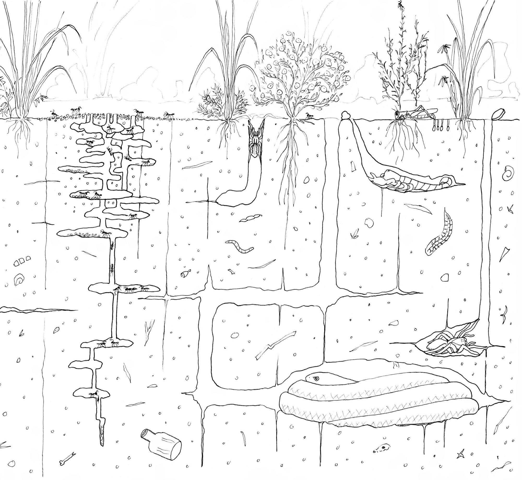 How to draw a grassland Part 3: What lies beneath?