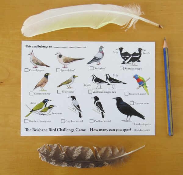 Brisbane Bird Challenge Game card