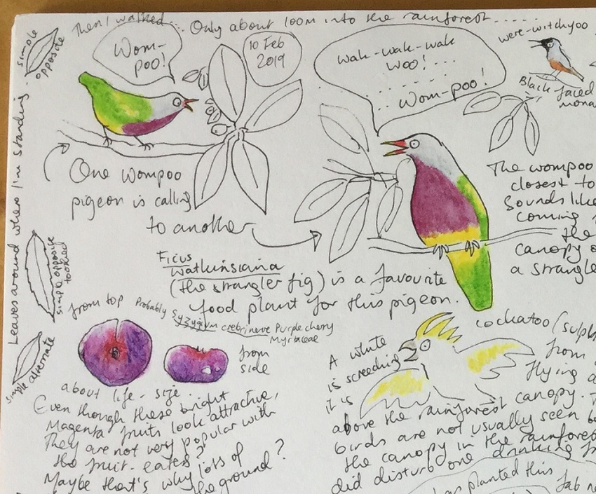 Competition winners, and nature journaling in the rainforest