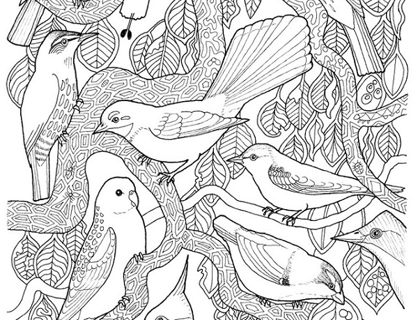 Free canopy birds colour-in sheet