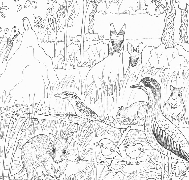 Free grassy woodland colouring-in sheet