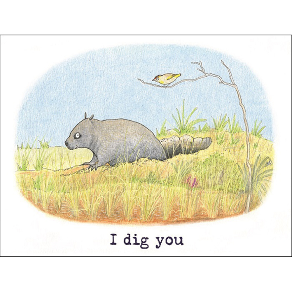 Wombat and pardalote card