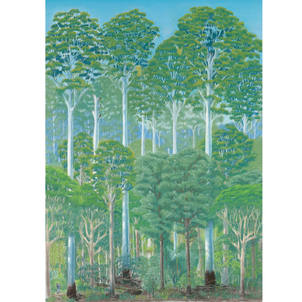 Flooded gum forest card
