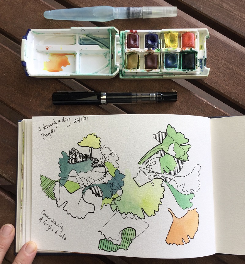 gingko | Paperbark Writer