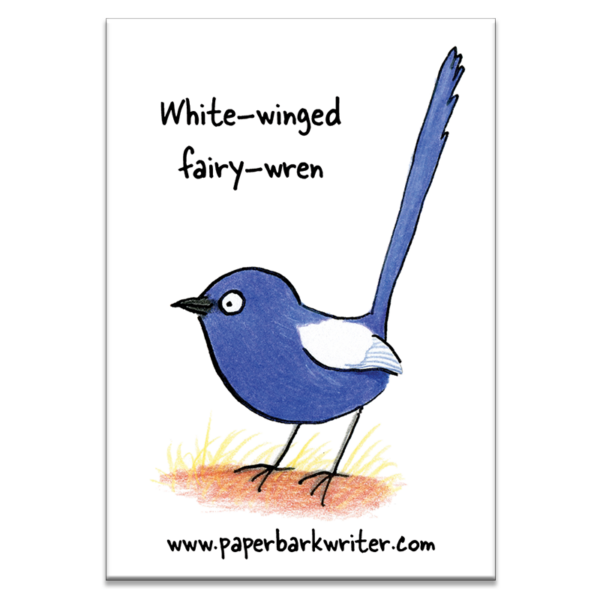 White-winged Fairy-wren fridge magnet