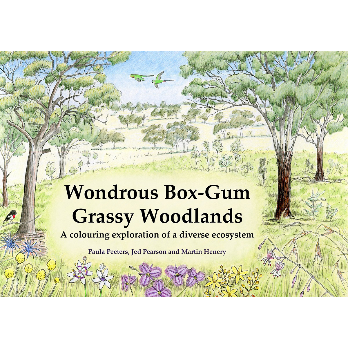 Free grassy woodland colouring book to download