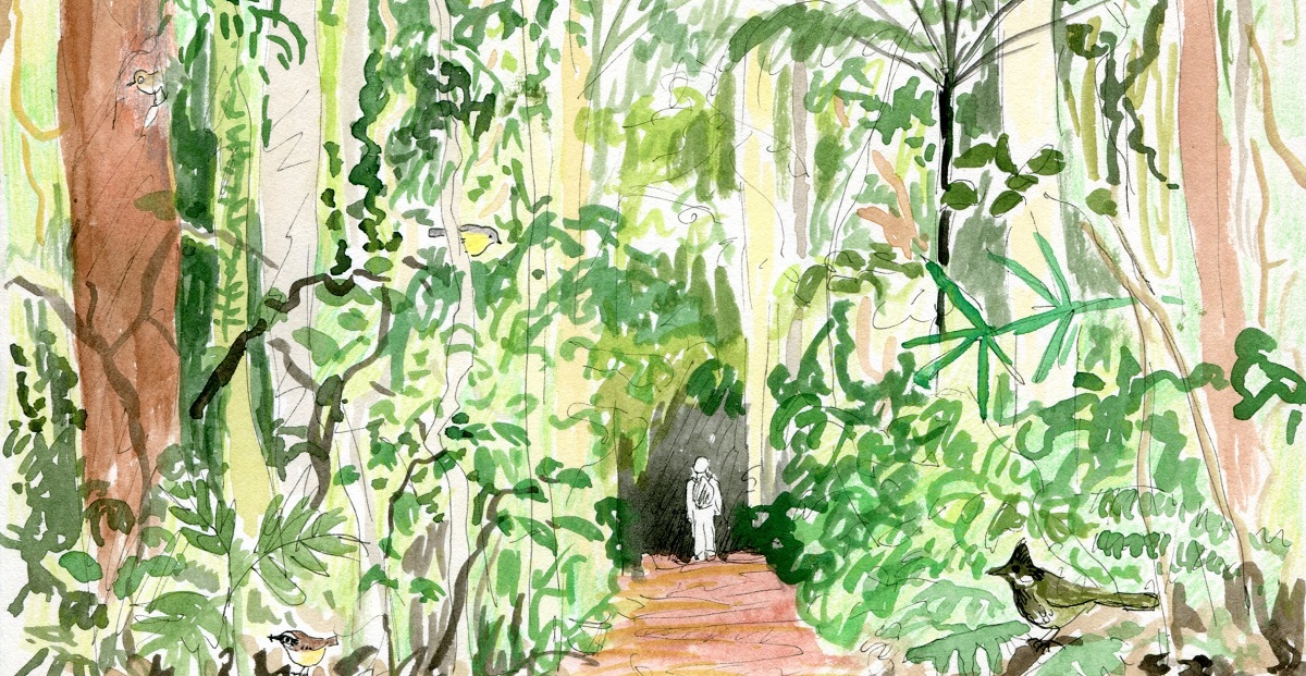 Binna burra Oct 2016 final002 crop small