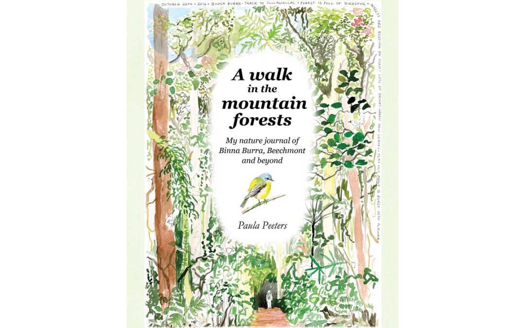 A walk in the mountain forests – Pre-orders now open!