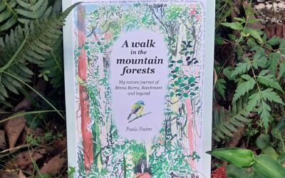 Hooray: ‘A walk in the mountain forests’ is here!