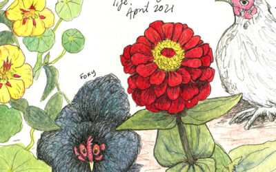 Create your own garden journal