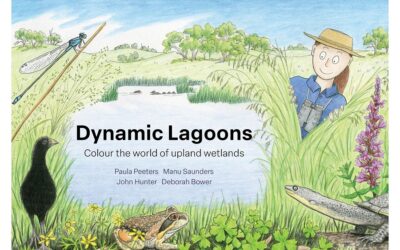 Free Dynamic Lagoons colouring book to download
