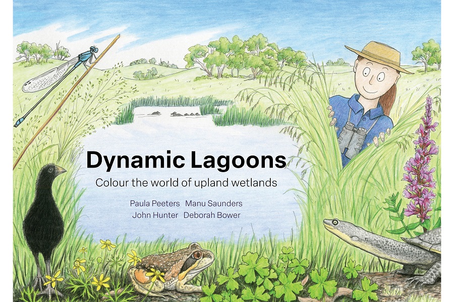 Free Dynamic Lagoons colouring book to download