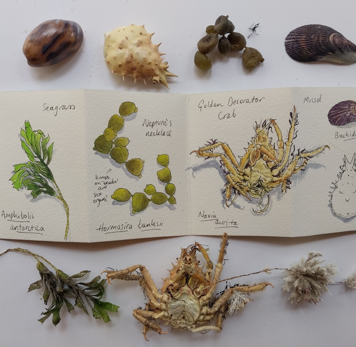 Unleash your creativity with this simple handmade book | Paperbark Writer