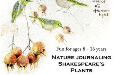 Nature journaling Shakespeare’s plants