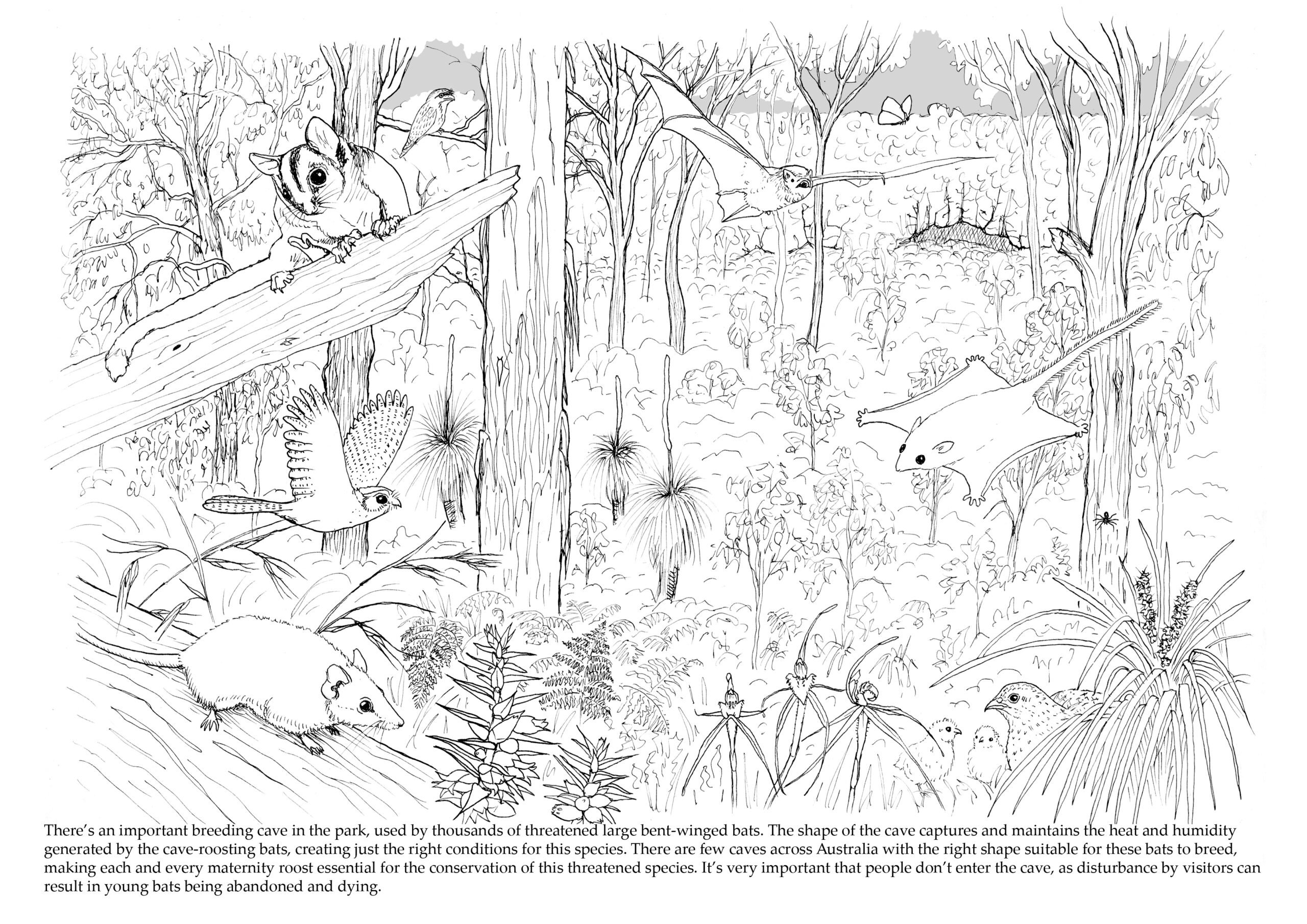 ‘Mount Kaputar: A living volcano’ – free ebook to download | Paperbark