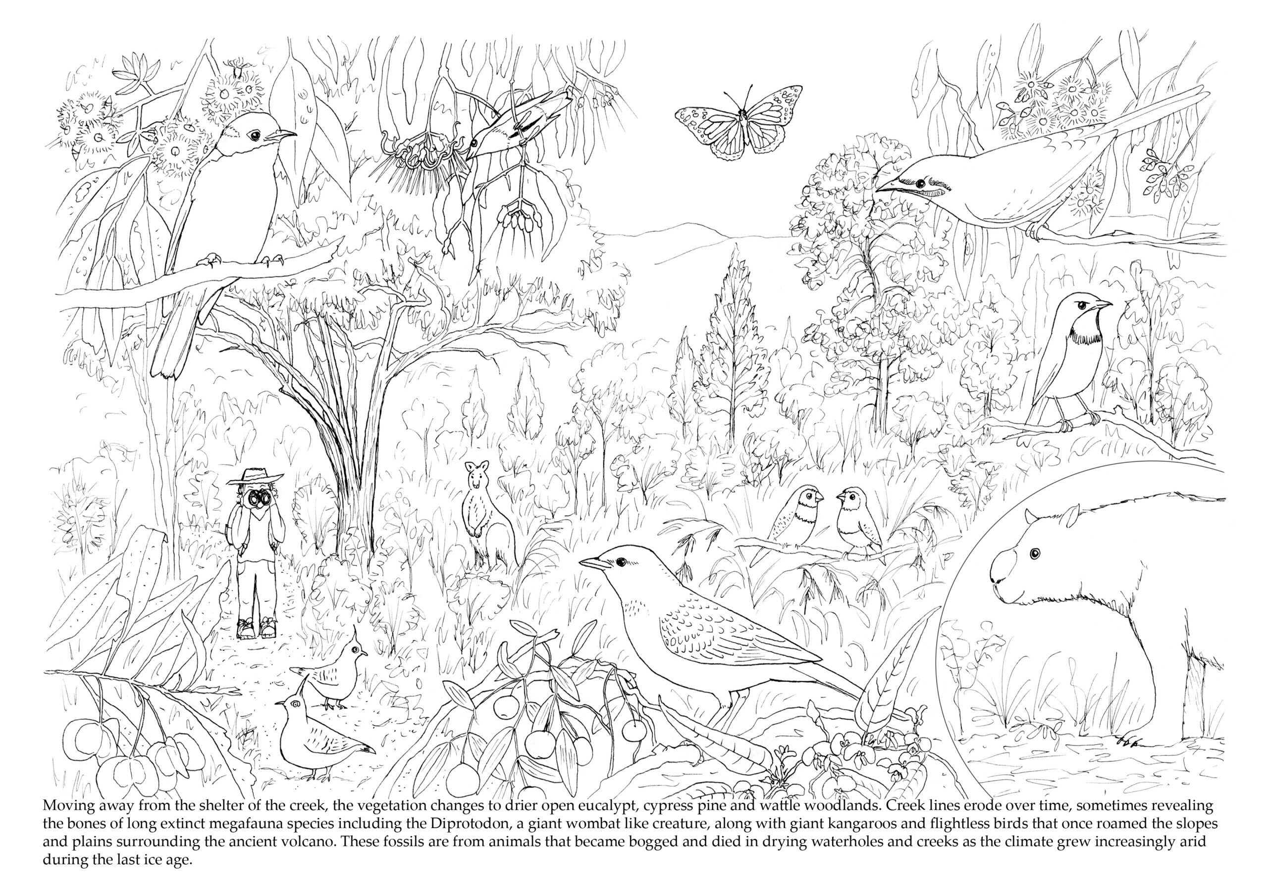 ‘Mount Kaputar: A living volcano’ – free ebook to download | Paperbark