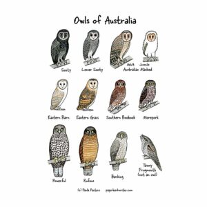 Owls of Australia organic cotton tea towel