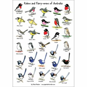 Robins and Fairy-wrens of Australia sticker sheet